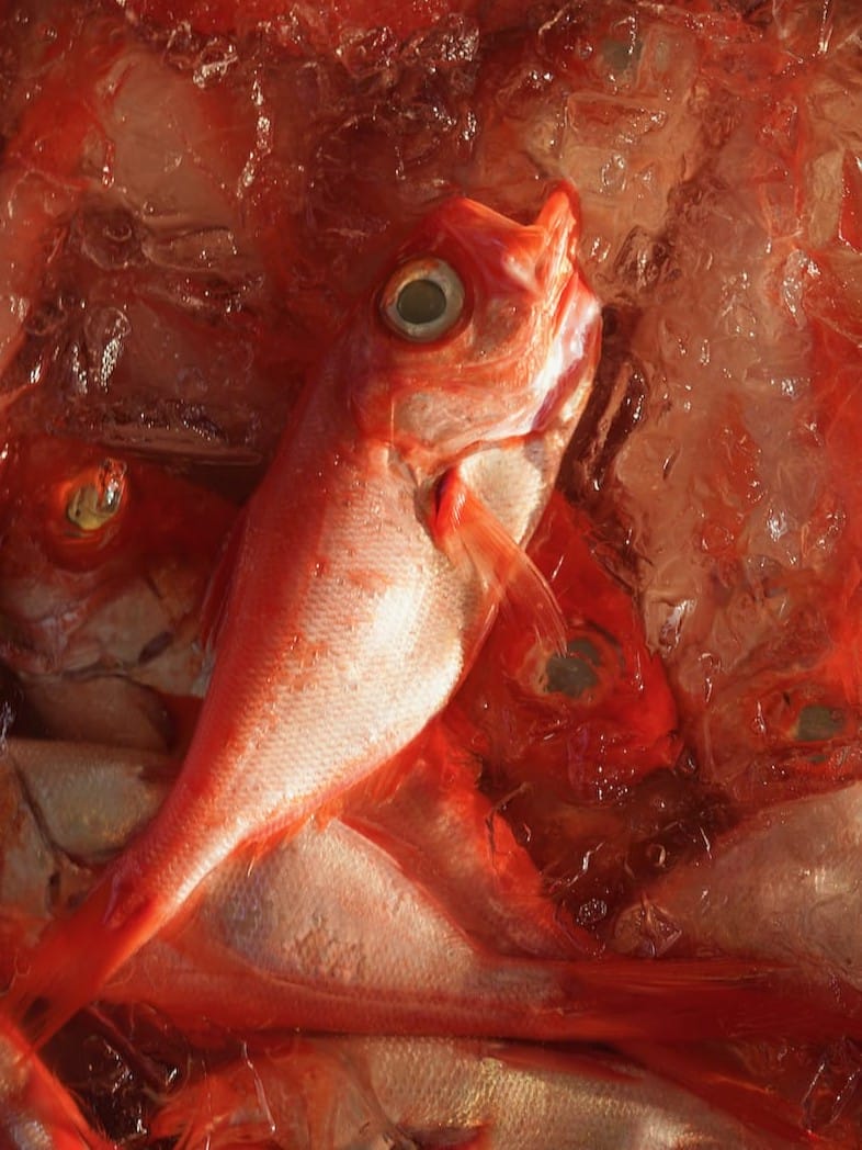株式会社 魚匠 海人 | 伊勢海老