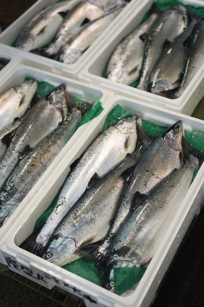小西鮮魚店 | 活けホッケ・渡蟹・鱒・牡蠣・ウニ等