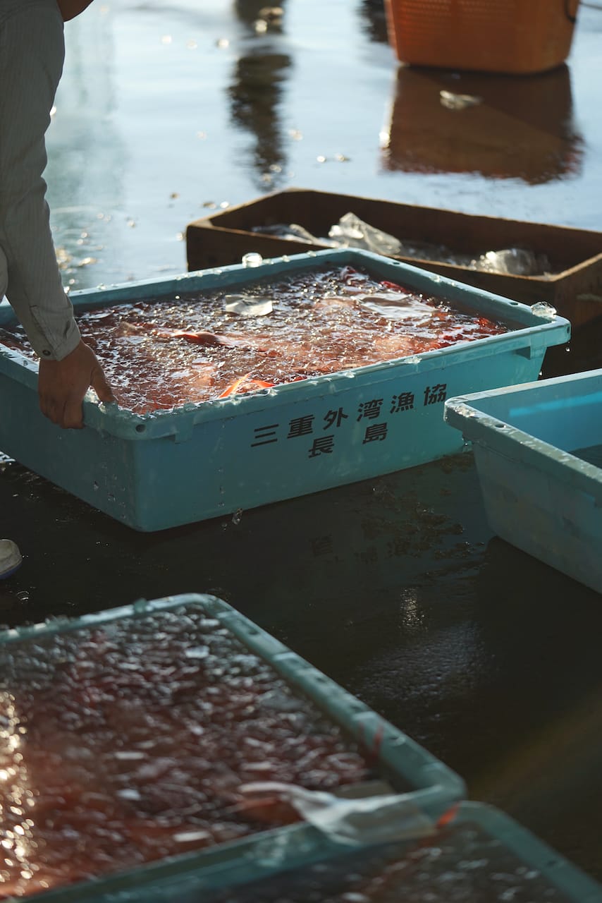 株式会社 魚匠 海人 | 伊勢海老