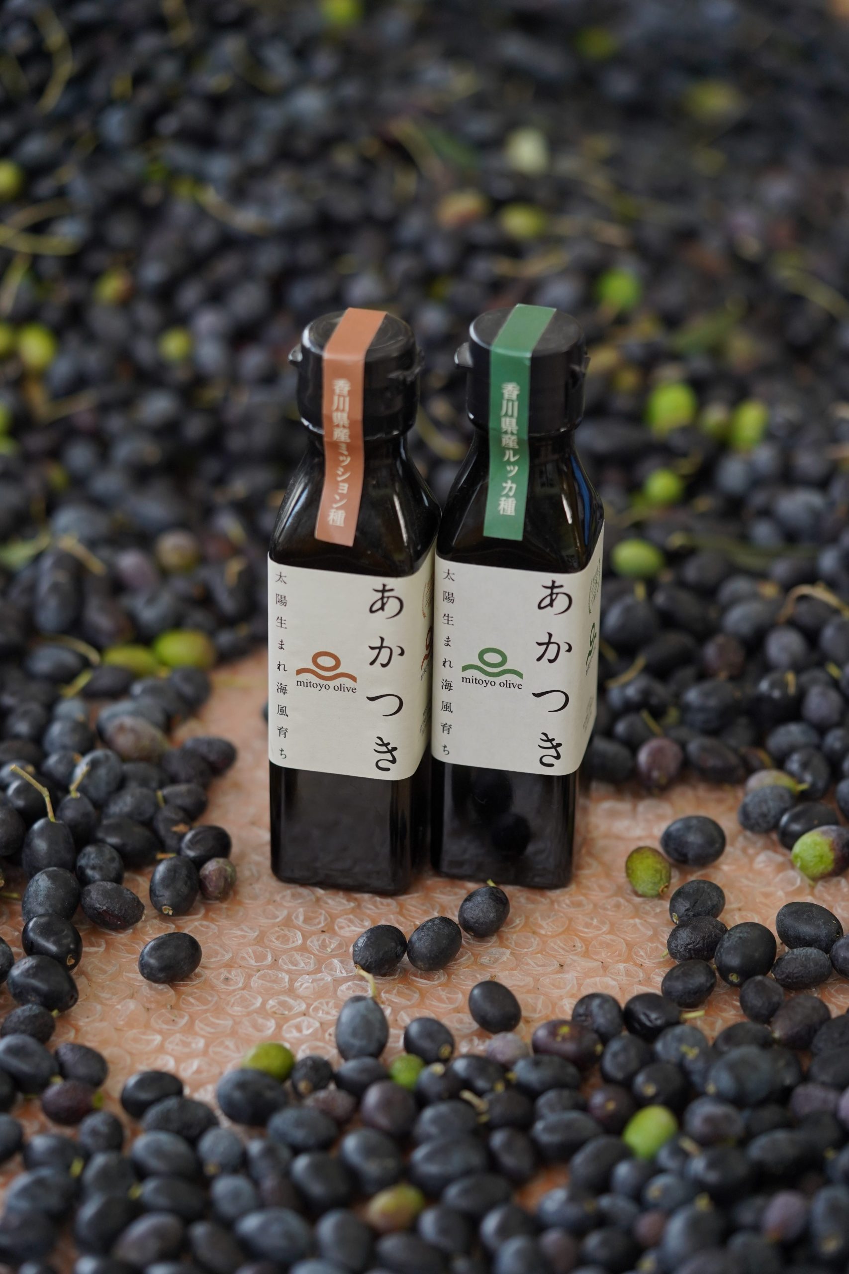 三豊オリーブ株式会社 | オリーブ