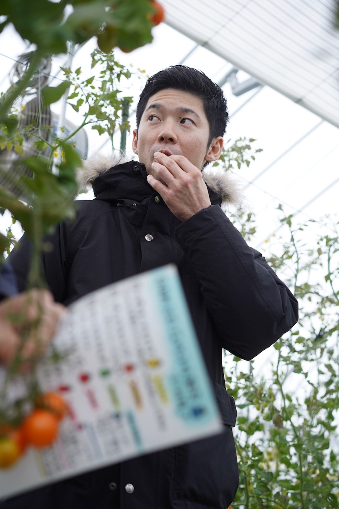 FARM KEI | フルーツトマト