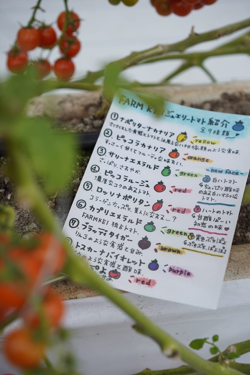 FARM KEI | フルーツトマト