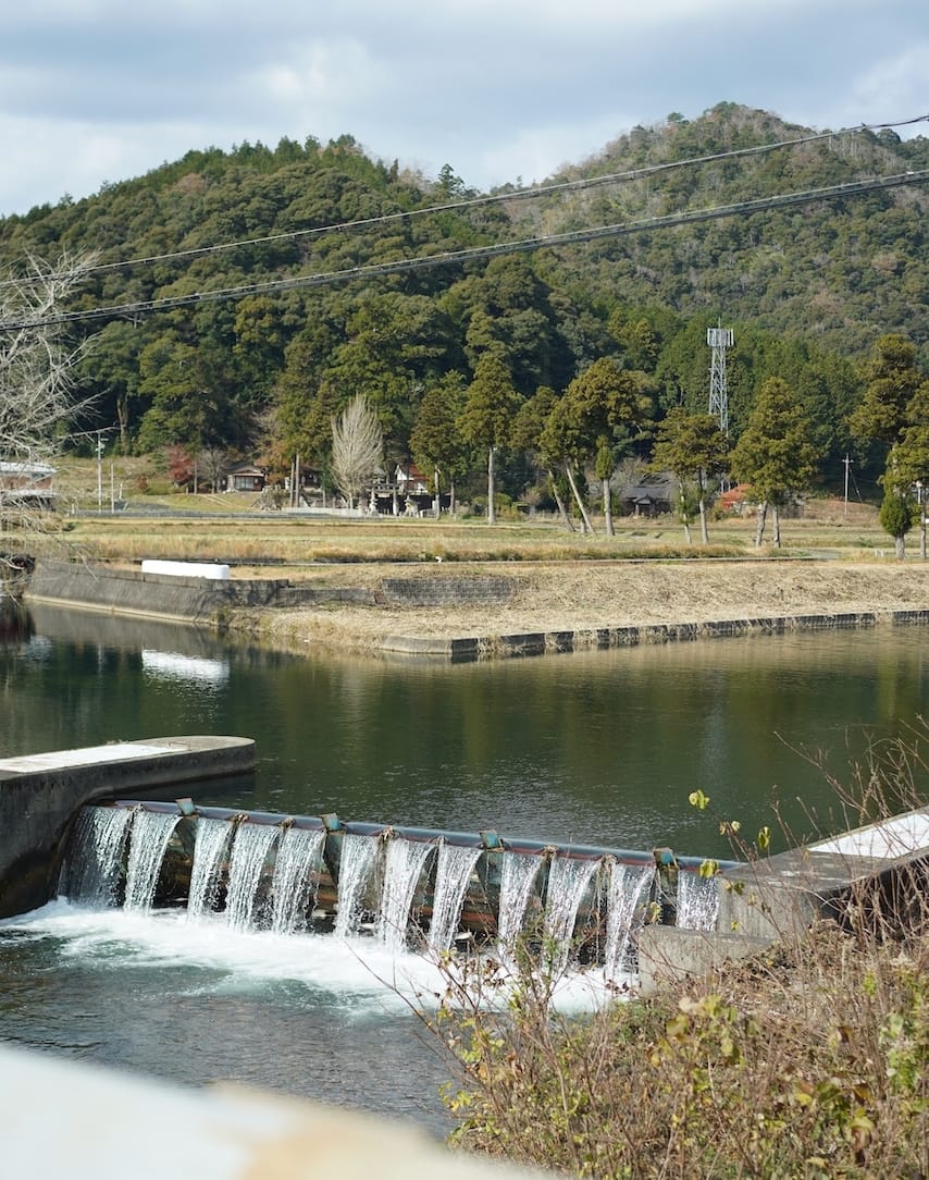 伊藤三枝子さん | 徳地やまのいも