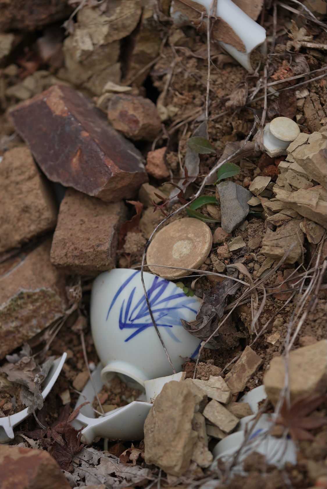 西海陶器 | 波佐見焼