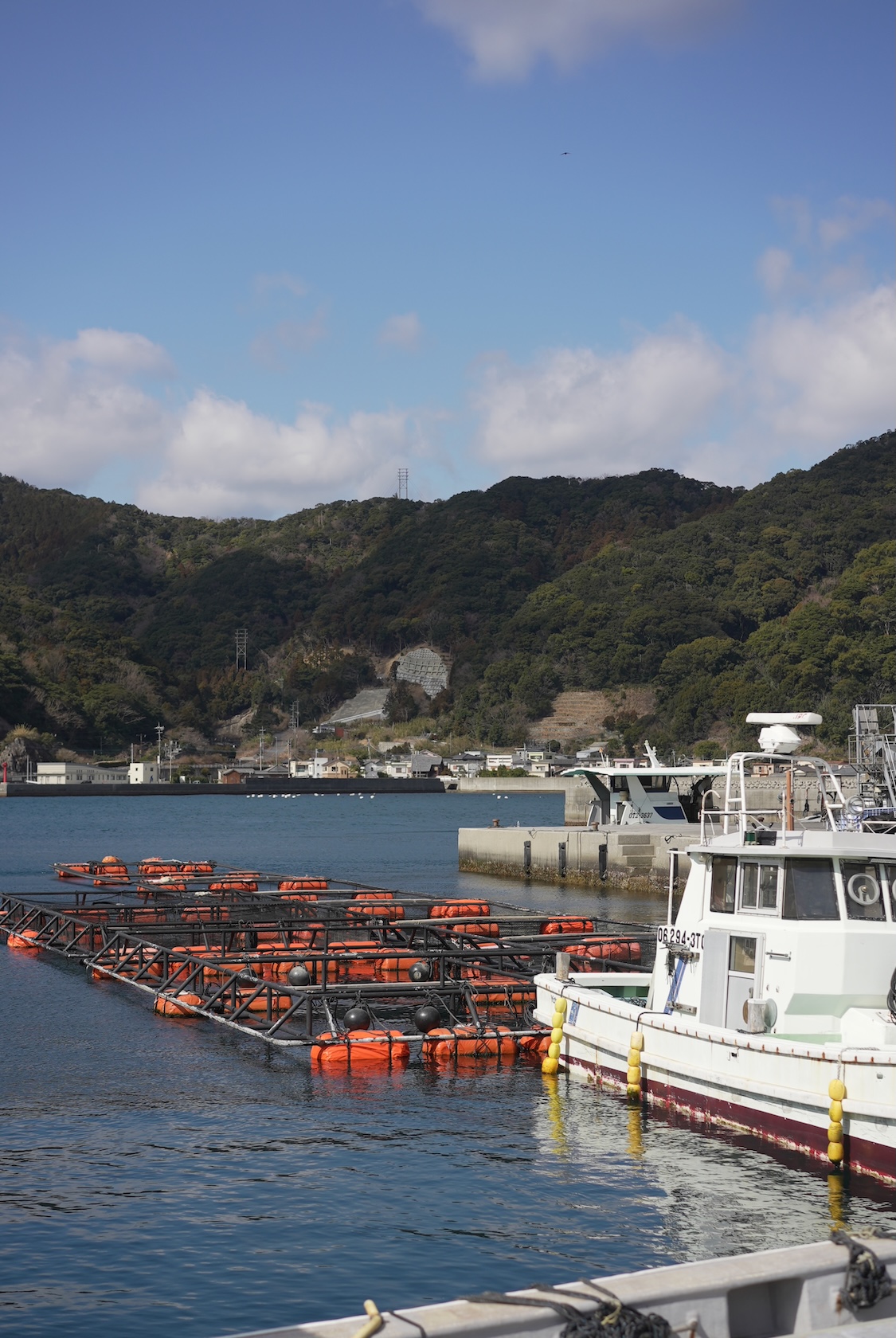 朝生水産 | かぼすぶり