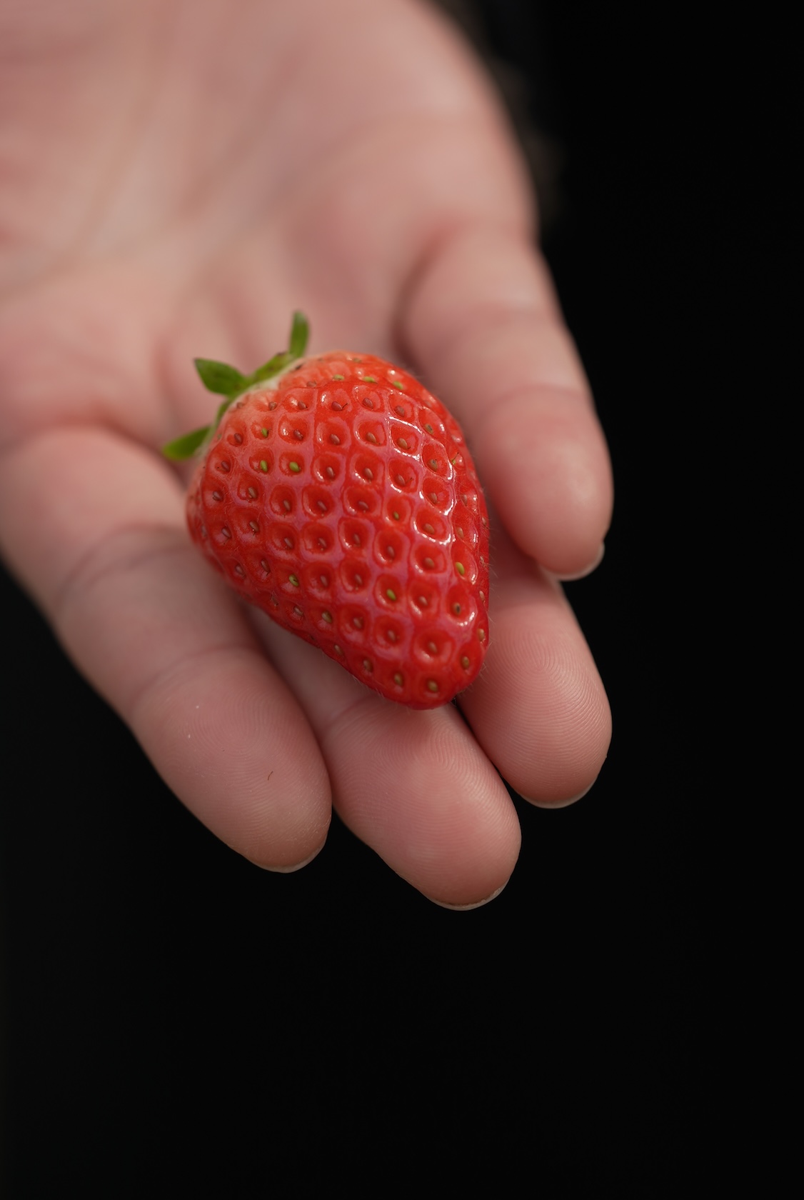 日浦さん | ベリーツ