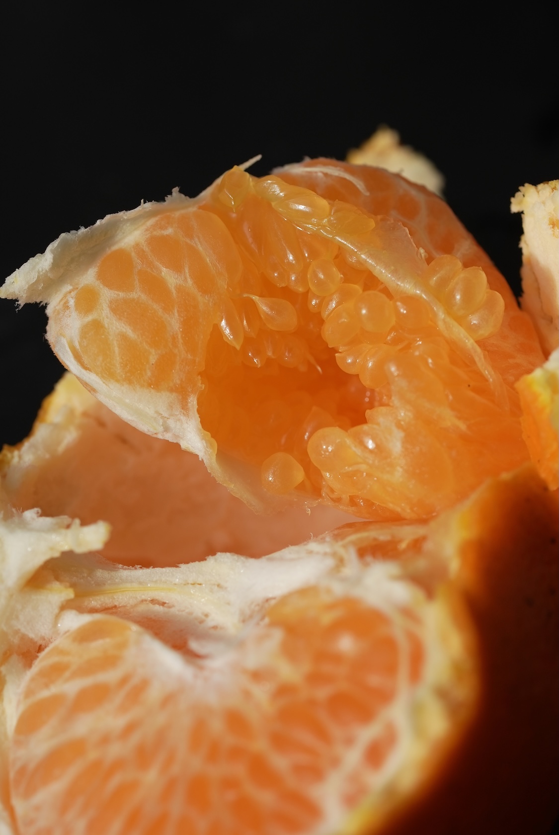 はじめ農園 | はるか・はるみ（柑橘）