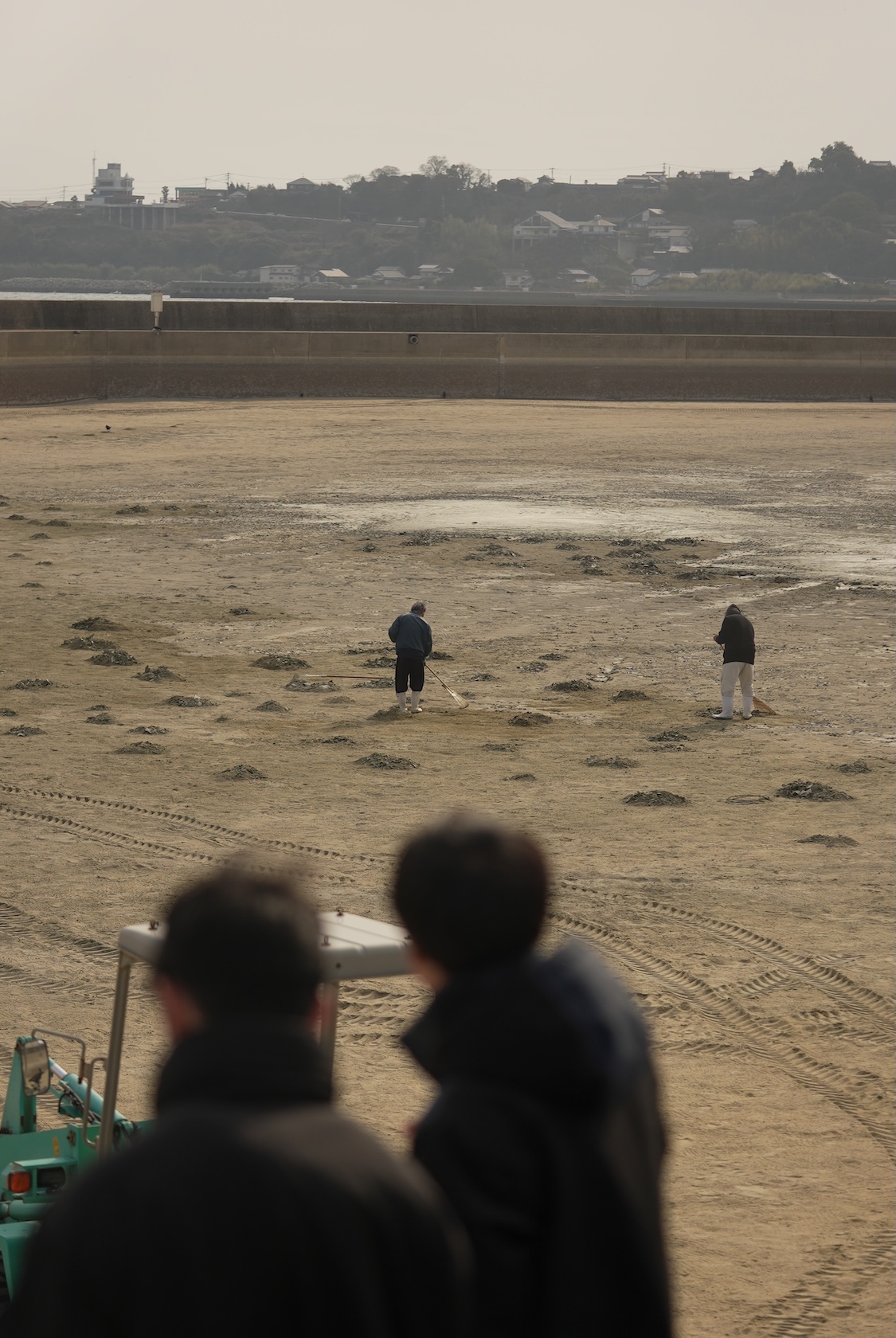 深江町漁協 | 車海老