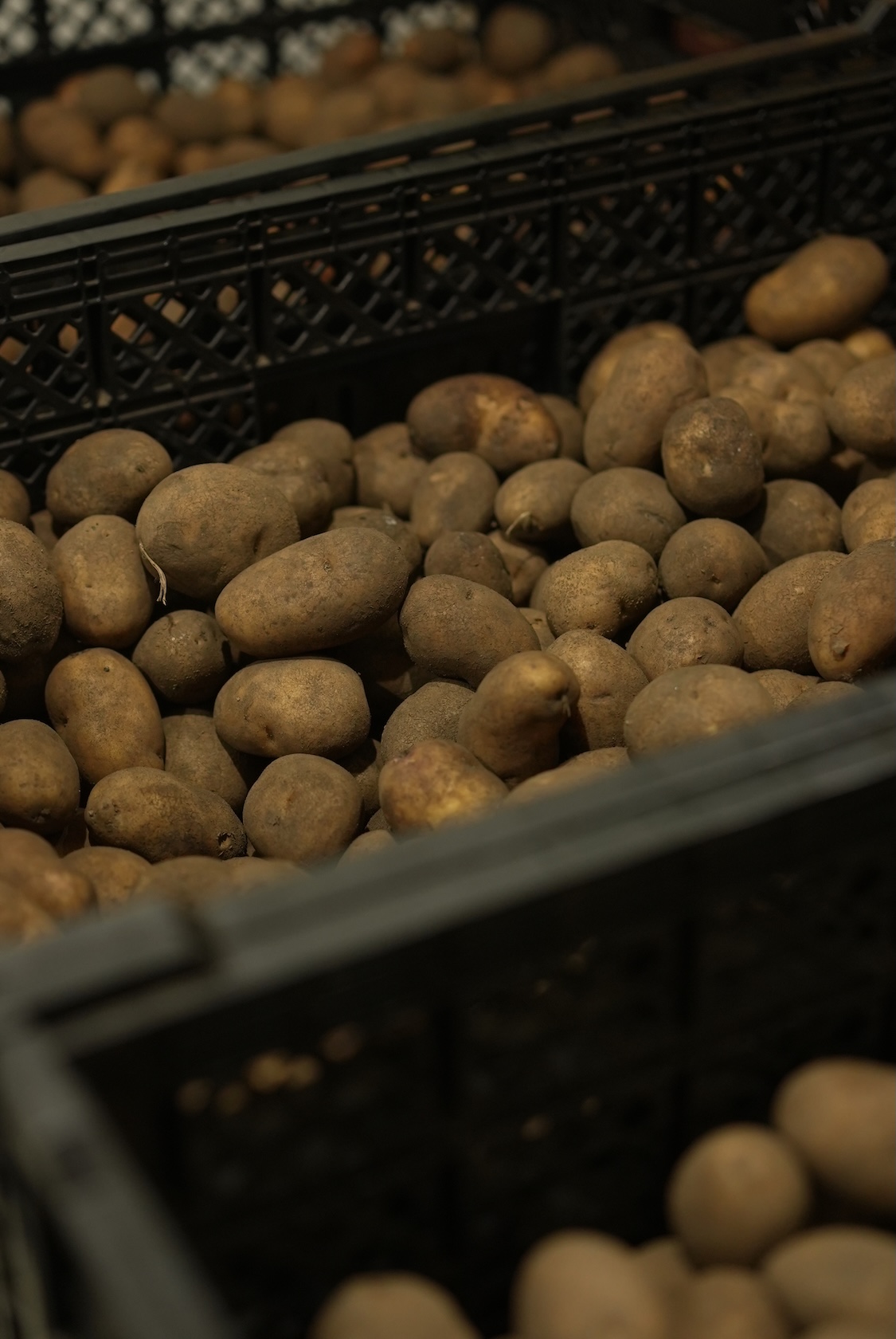 備中農園 | インカのめざめ