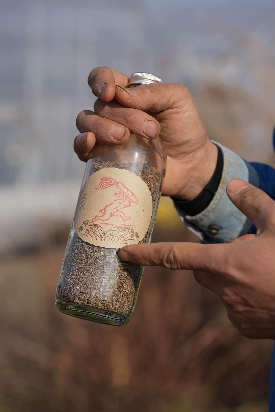 竹田かたつむり農園 | 長崎伝統野菜
