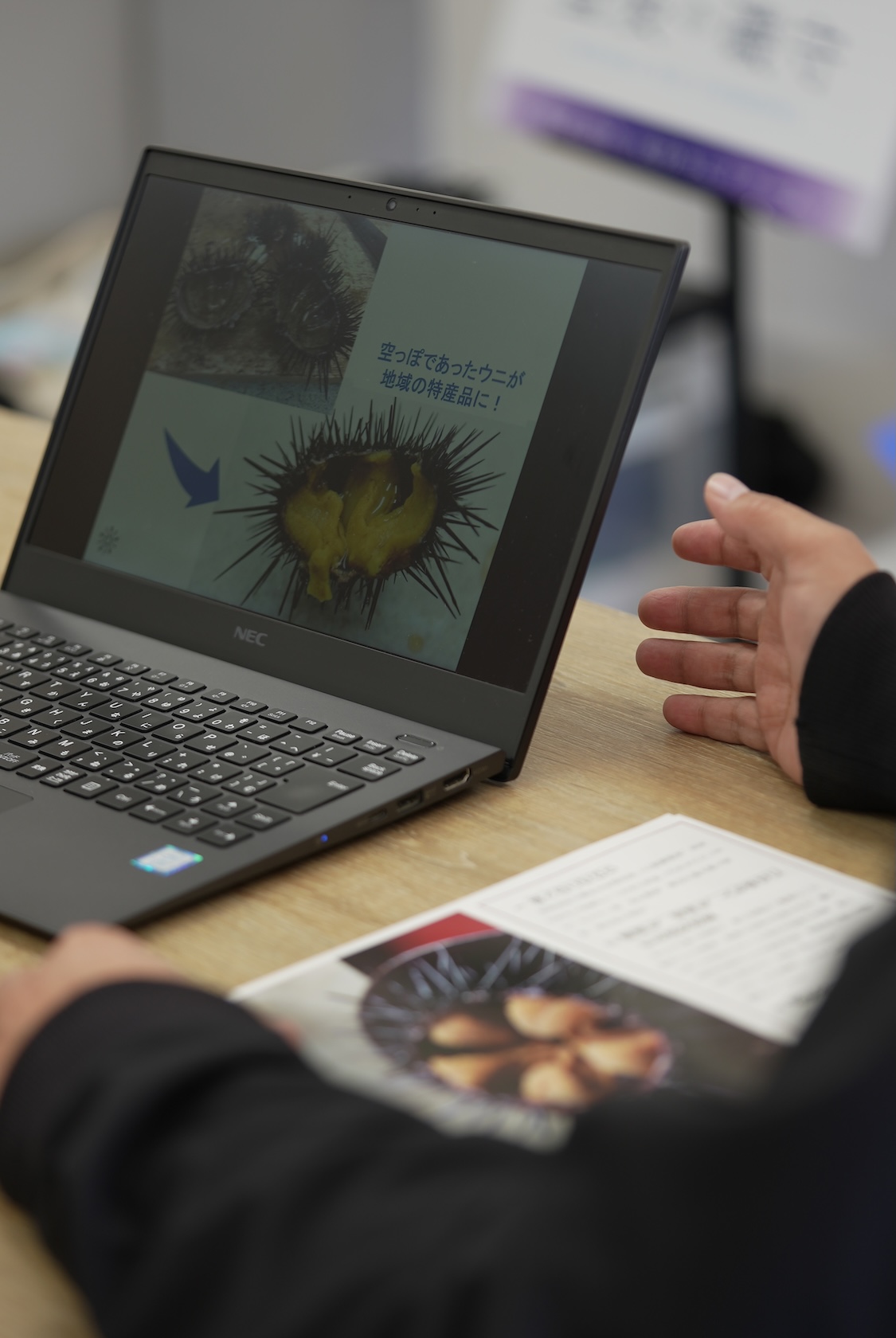 大分うにファーム | 紫雲丹