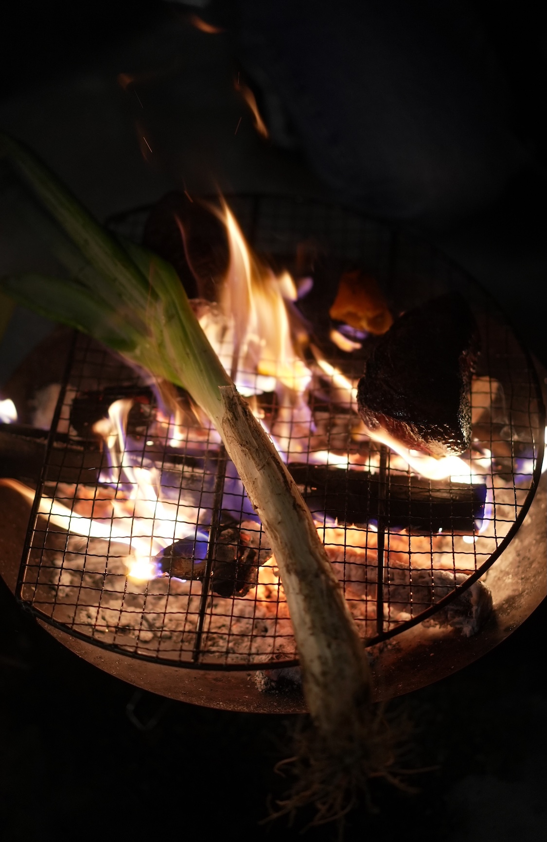 東農園 | 飛騨一本葱