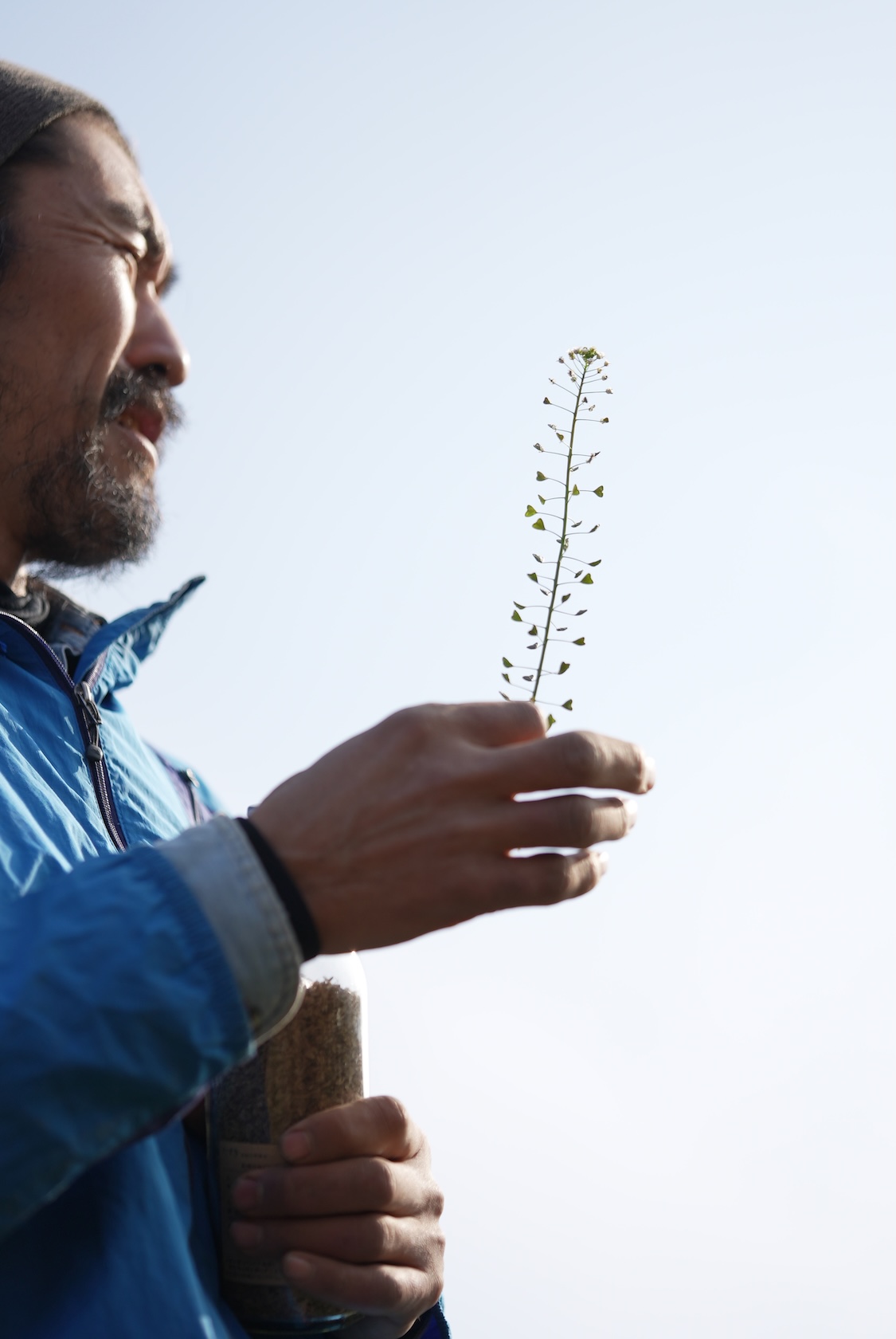 竹田かたつむり農園 | 長崎伝統野菜