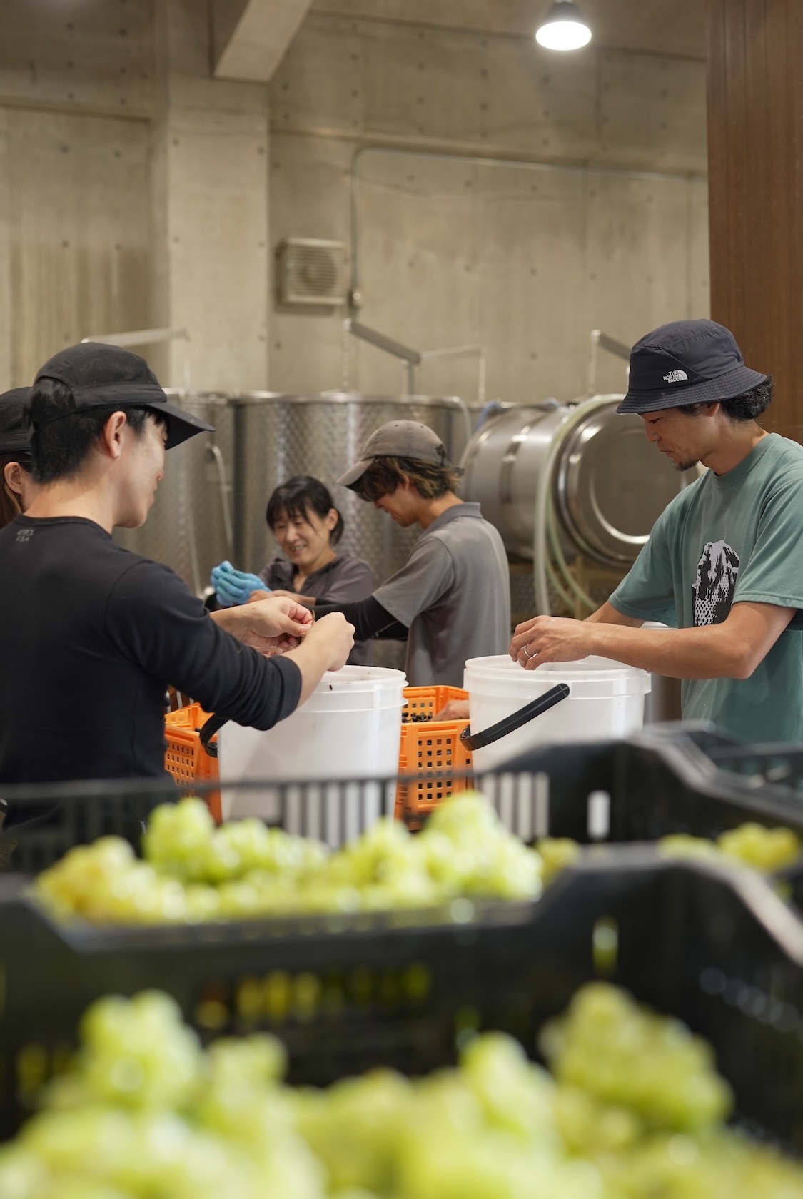 セイズファーム | ワイン