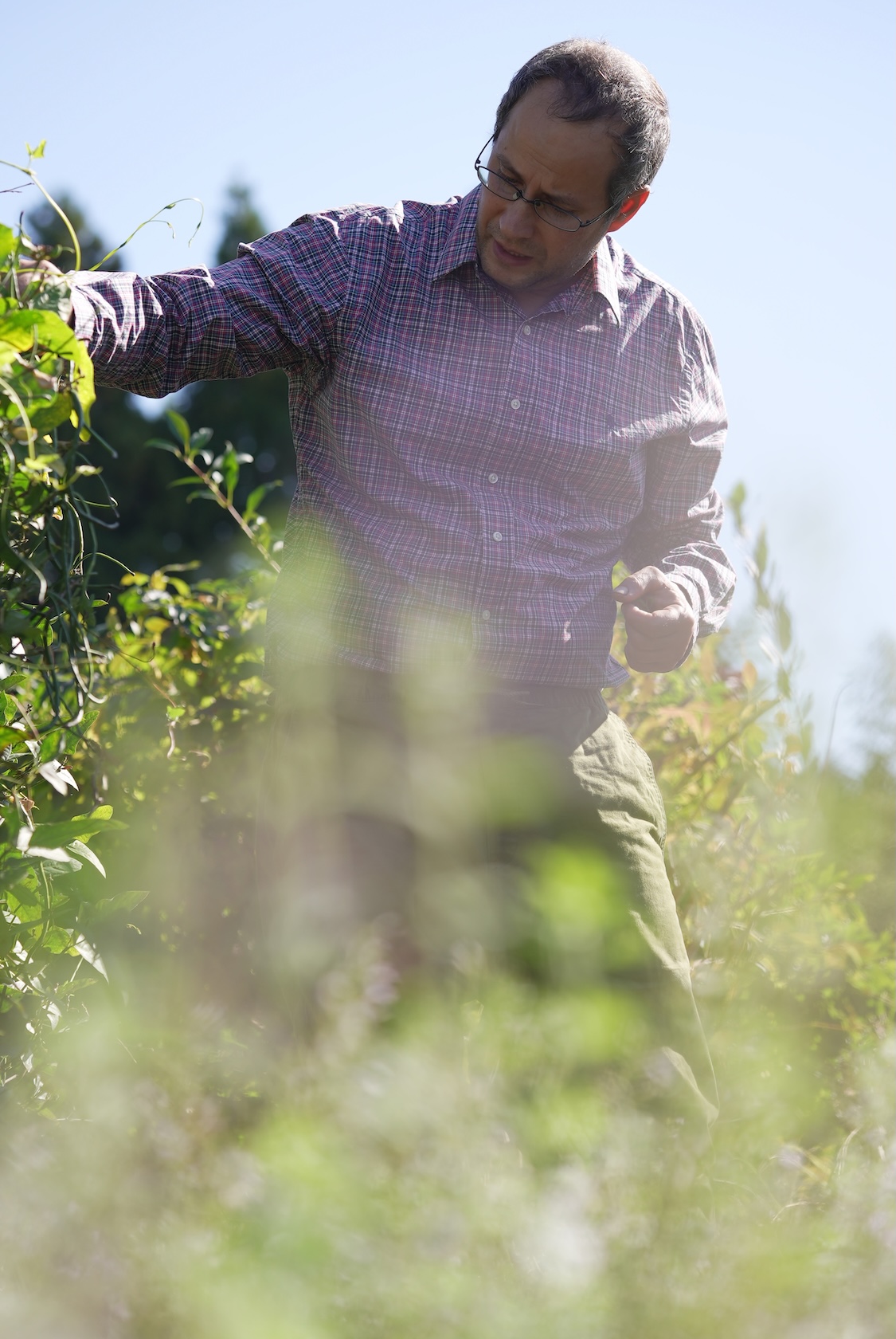 GGファーム | 野菜