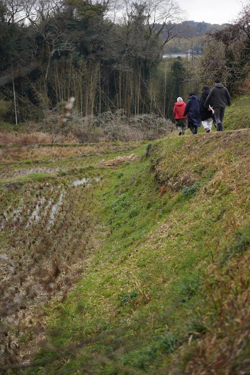 苗⽬ファーマーズスタンド | ハーブ