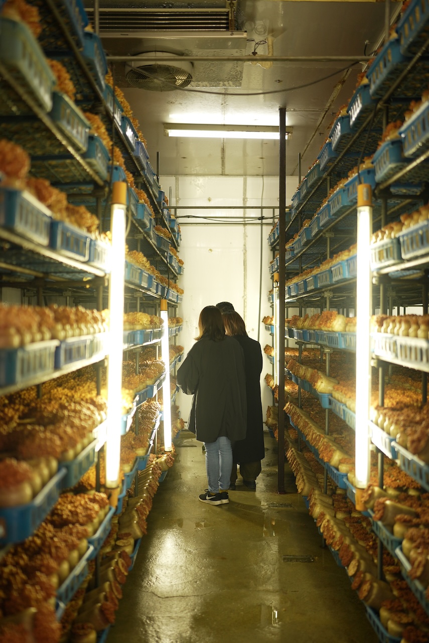 （有）熊谷伊兵治ナメコ生産所 | くまちゃんなめこ