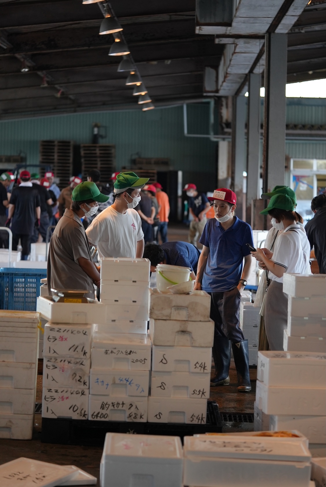 島根県松江市場 | 宍道湖 鱸