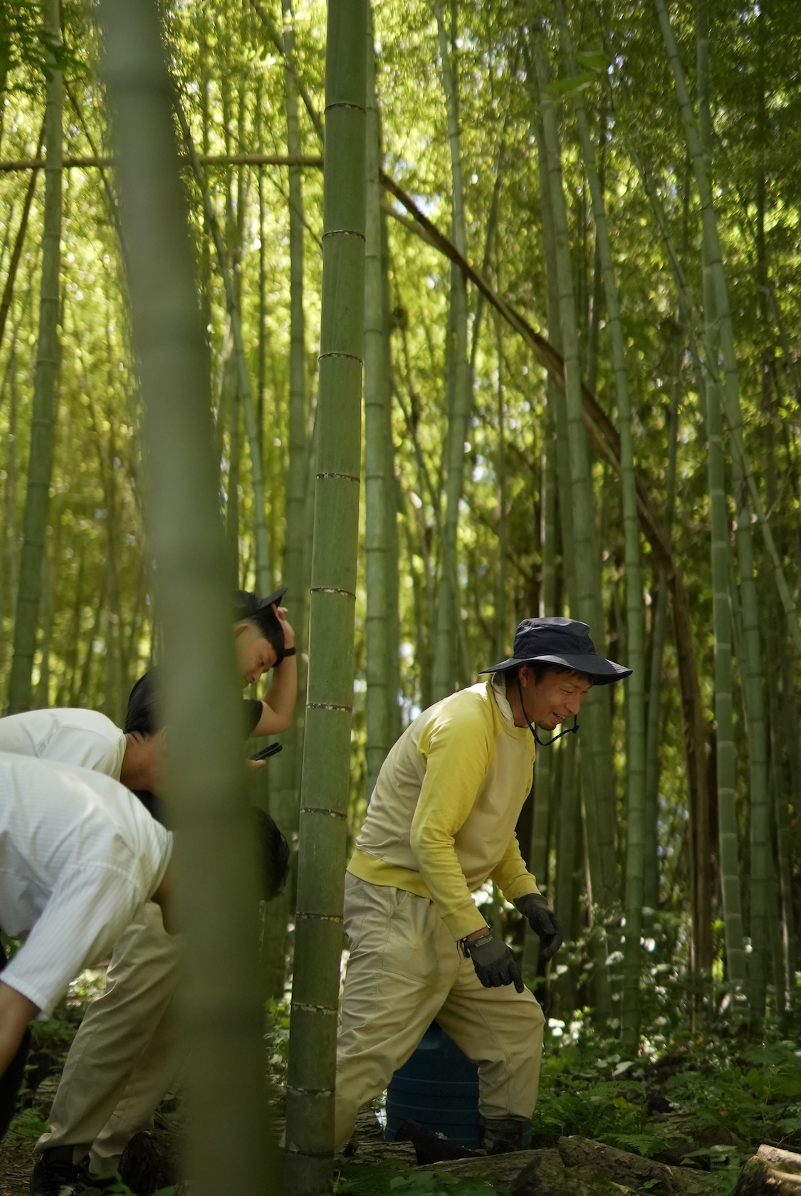 marufarm | 原木茸