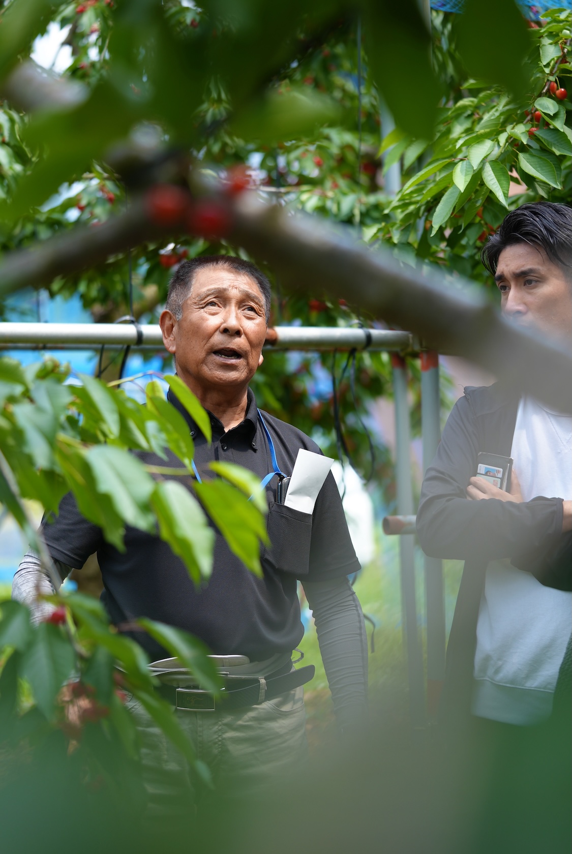 菅忠一郎さん | さくらんぼ