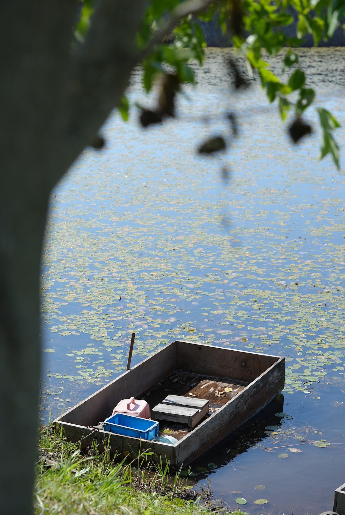 小林商店 | じゅんさい