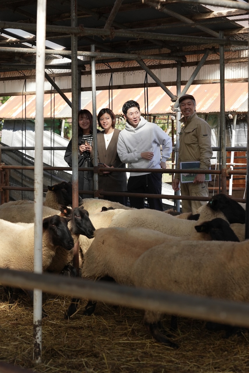 月山高原 花沢ファーム | 羽黒緬羊