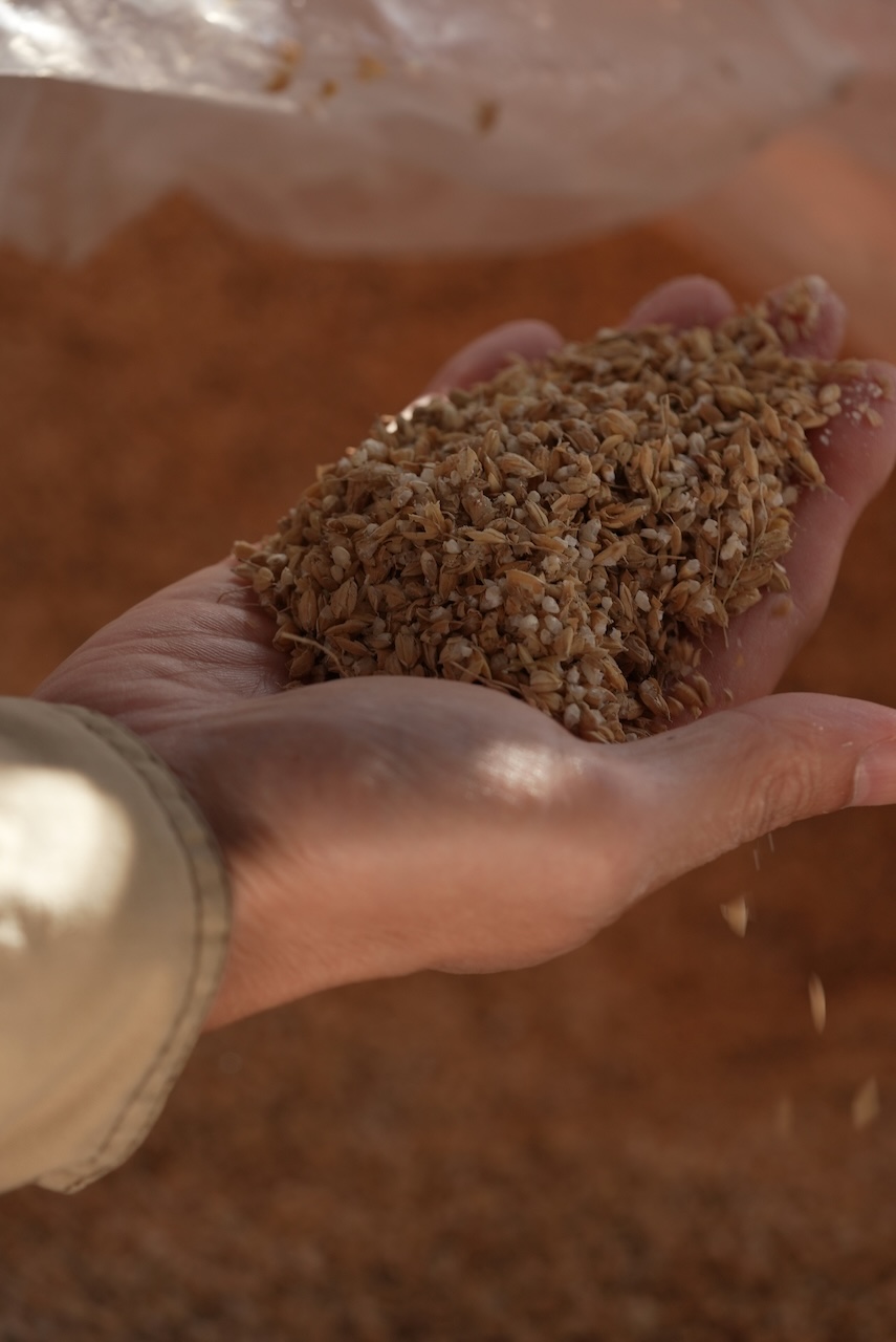 月山高原 花沢ファーム | 羽黒緬羊