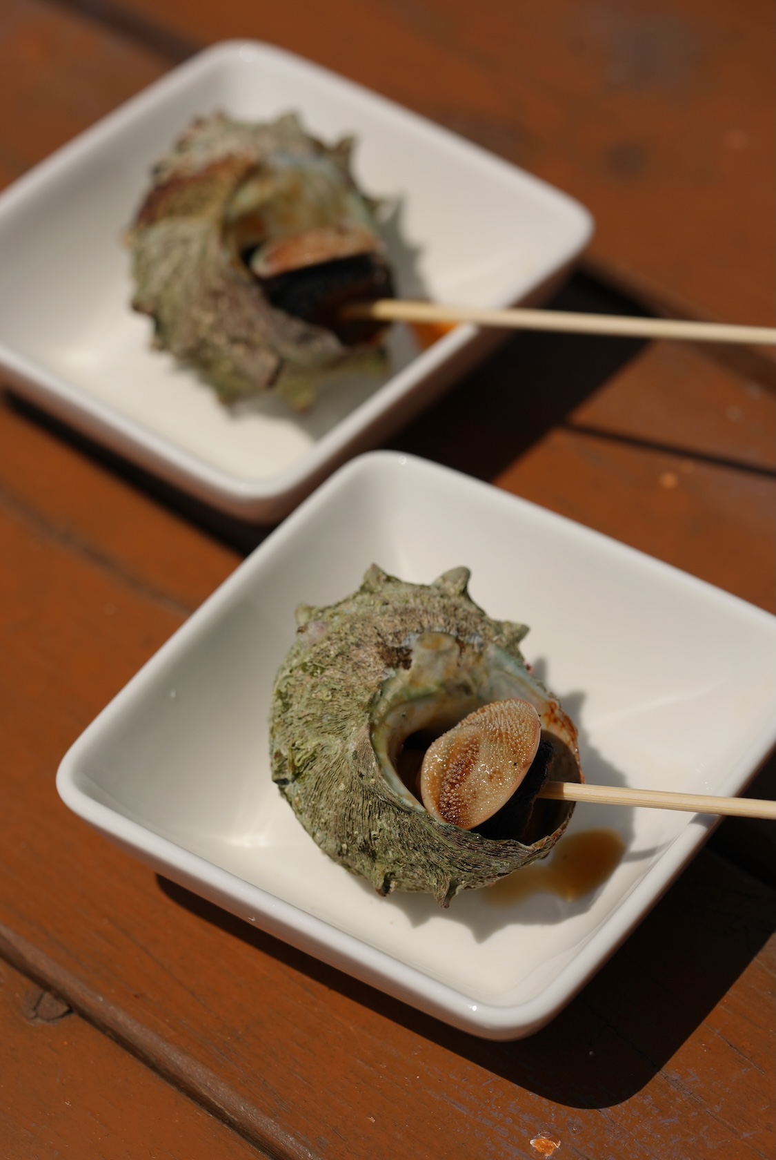 渉水産 | サザエ