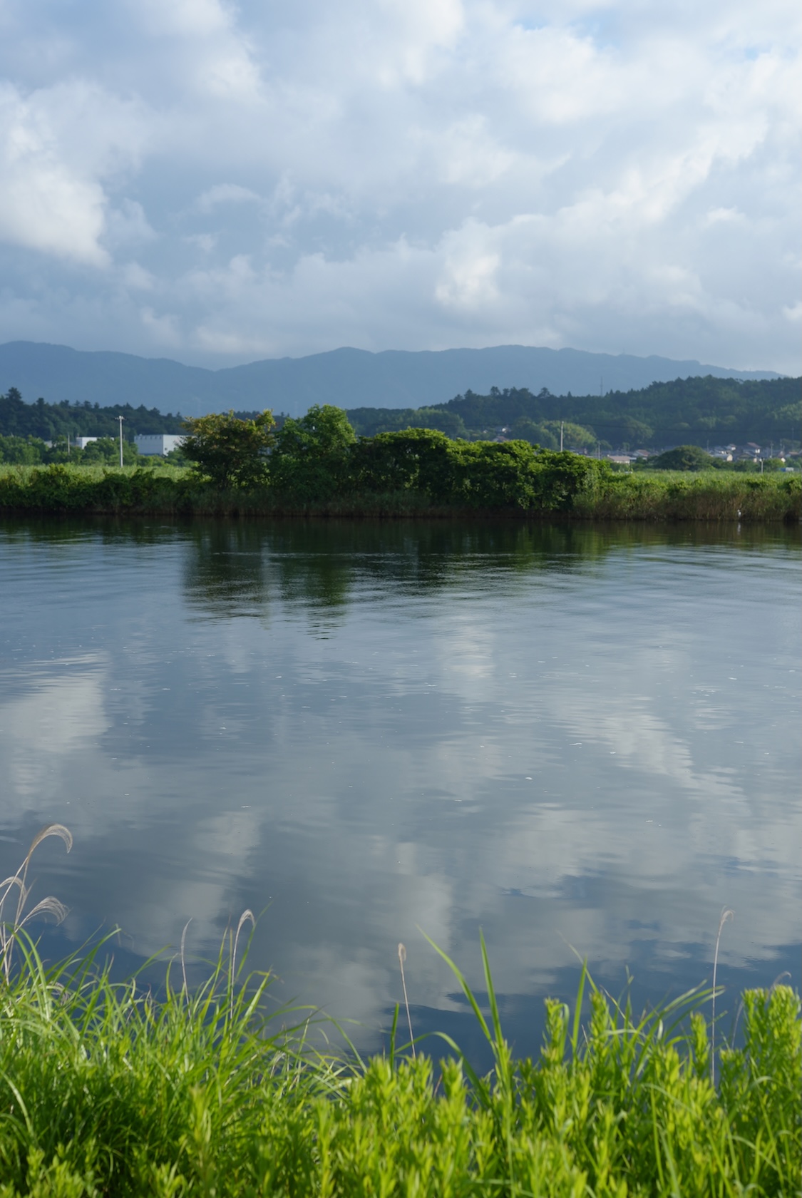 島根県松江市場 | 宍道湖 鱸