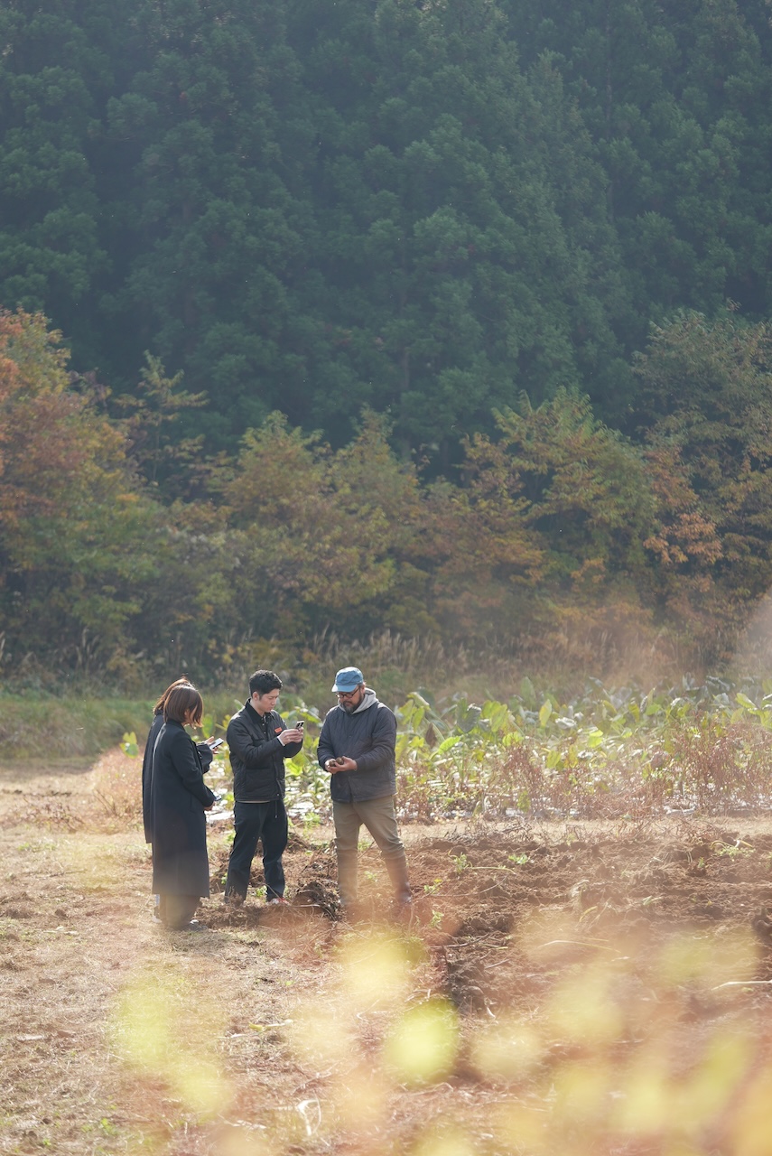 最上伝承野菜農家 森の家 | 甚五右ヱ門芋