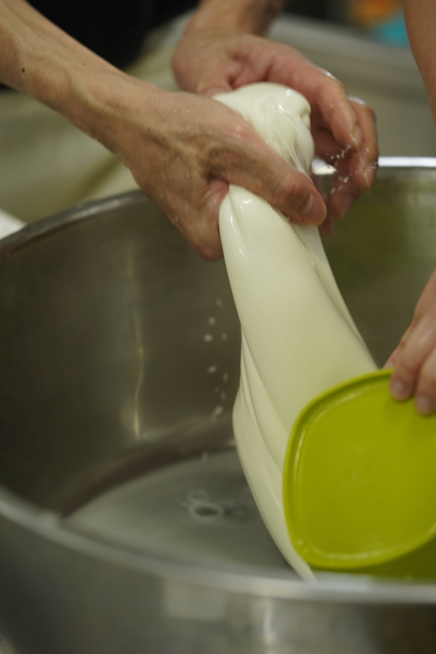 ⽵島モッツァレラ | チーズ