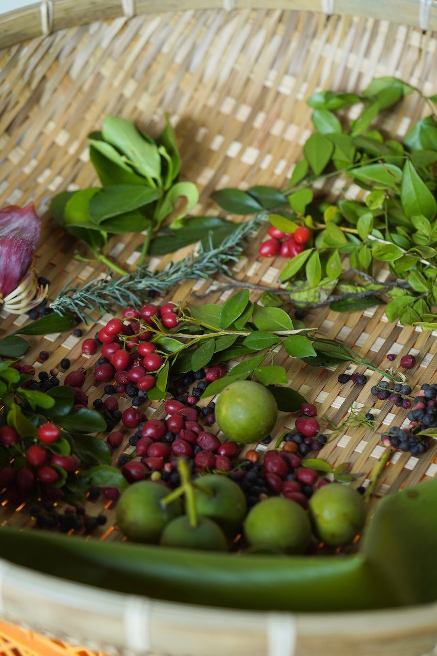 Mitosaya薬草園蒸溜所 | 蒸留酒