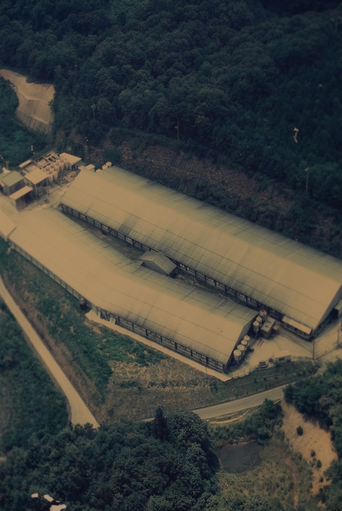 有限会社ディブロ | 石見ポーク