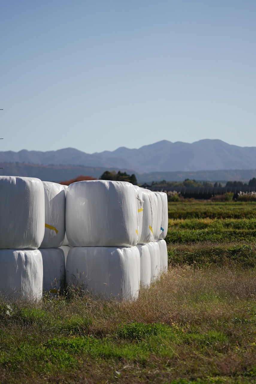 月山高原 花沢ファーム | 羽黒緬羊