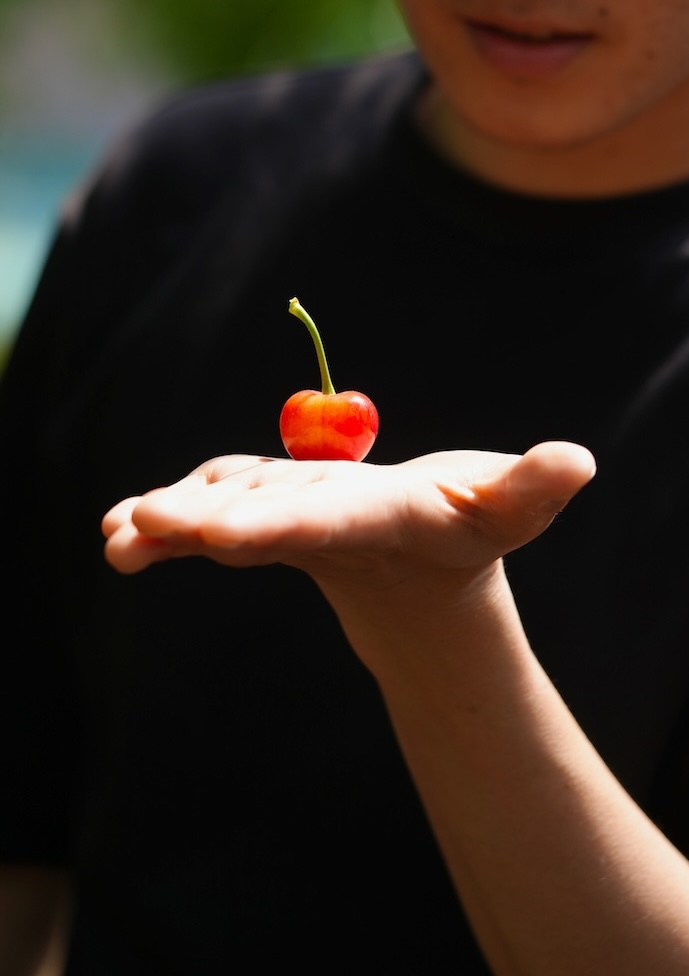 菅忠一郎さん | さくらんぼ