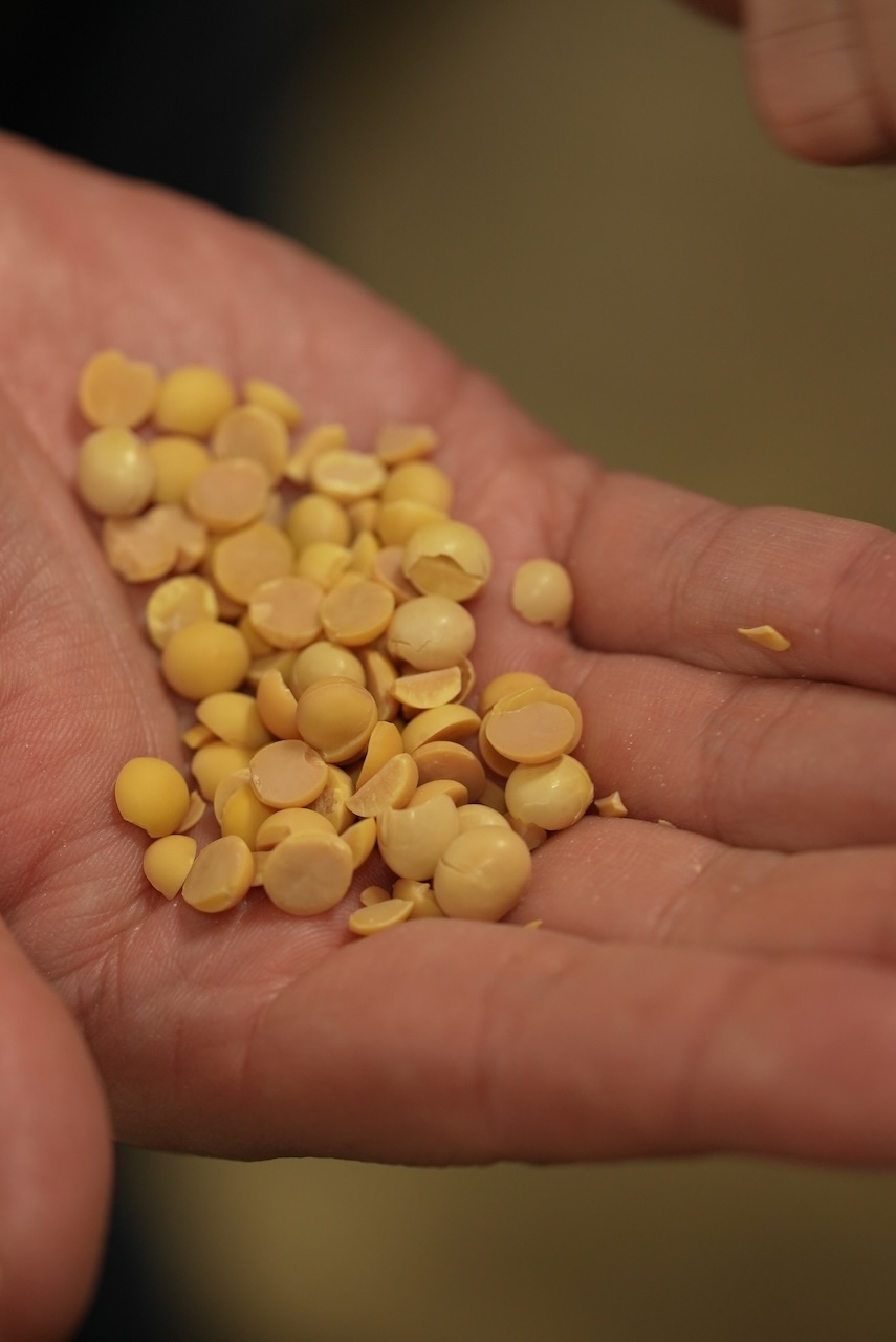 ゆきんこ | 雪割納豆