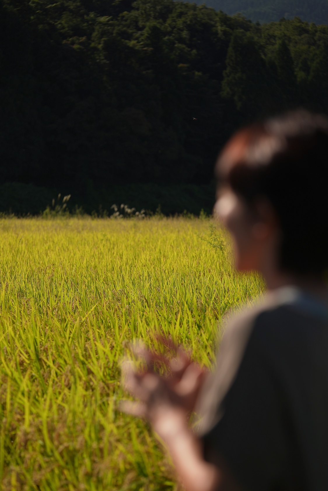 土遊野 | 米・卵・鶏肉