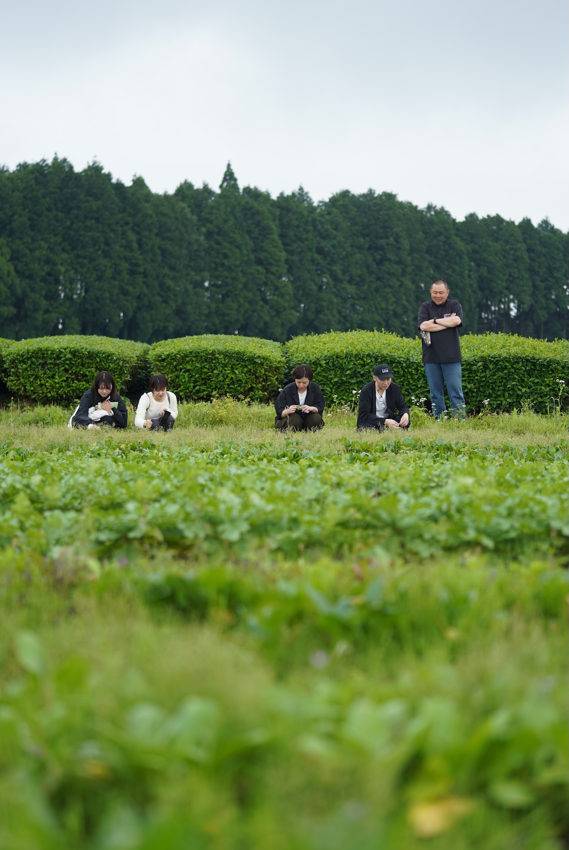 有元農場 | 野菜