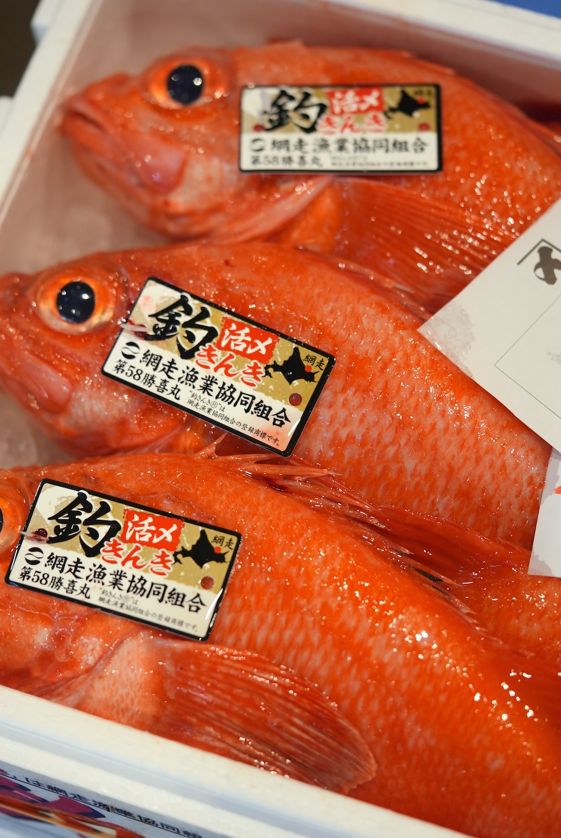 札幌中央市場 丸水水産 | マグロ、ホッケ、ウニなど