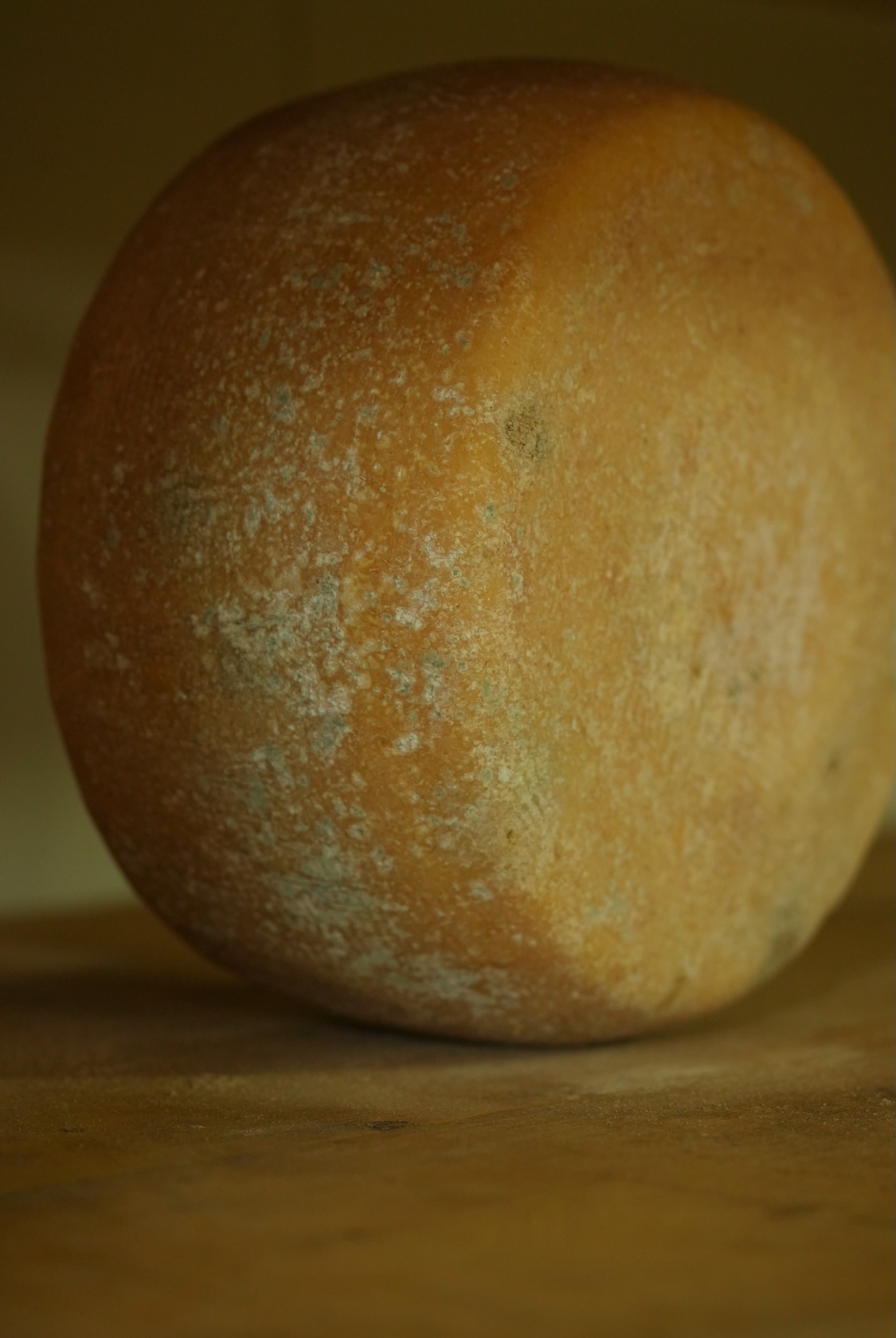 ファットリアビオ北海道 | チーズ