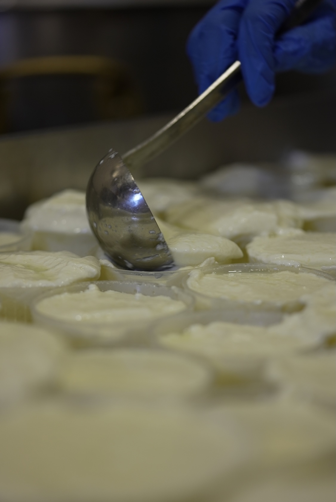 IL  RICOTTARO | チーズ