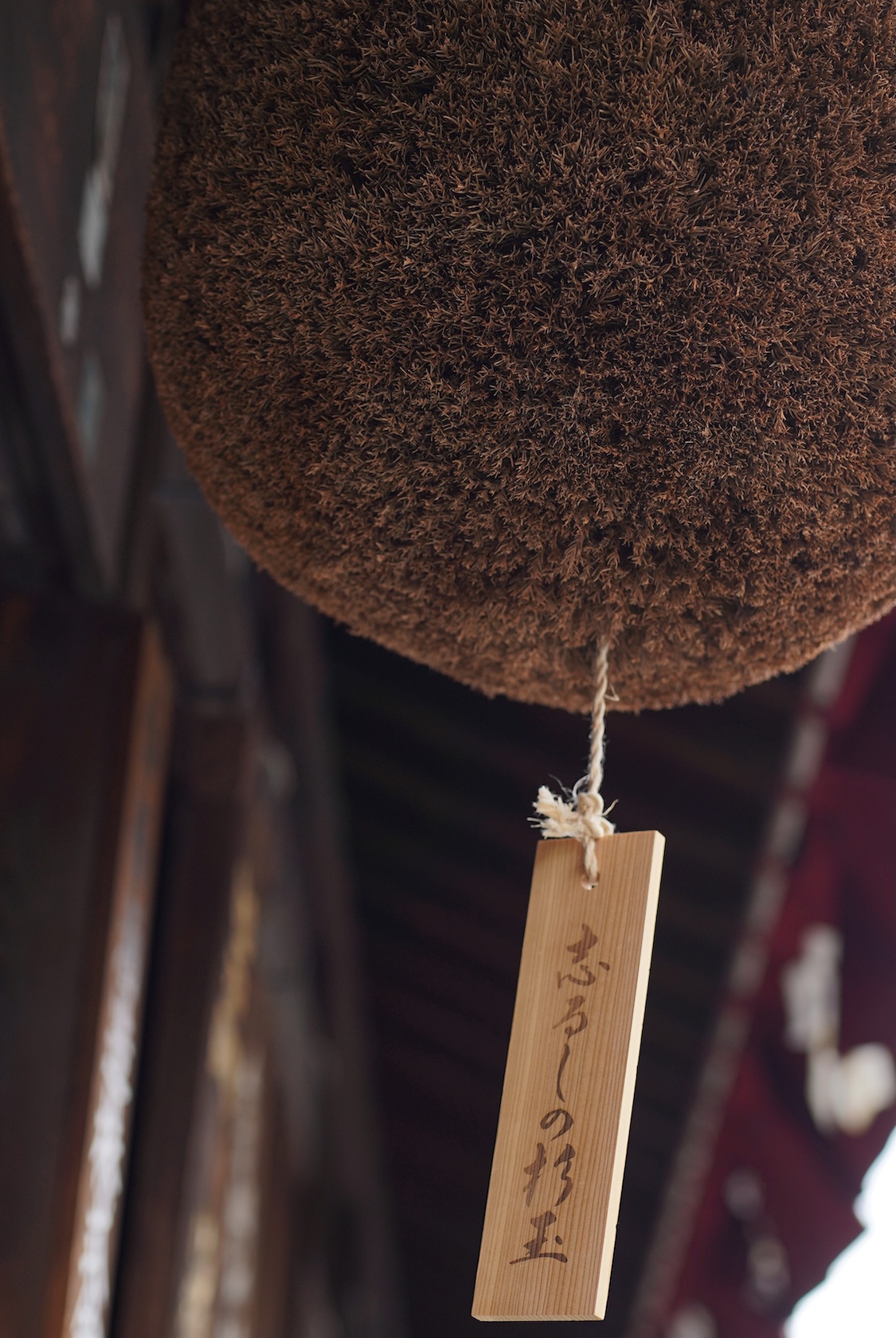 今⻄酒造 | 日本酒