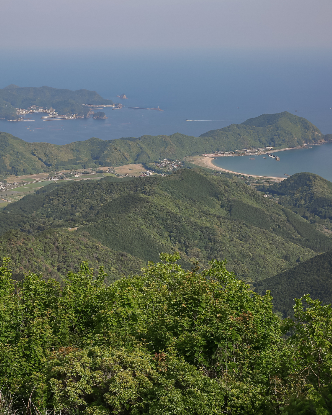 鏡山牧場｜八崎牛